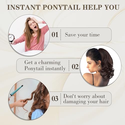 Highlight Ponytail Extension